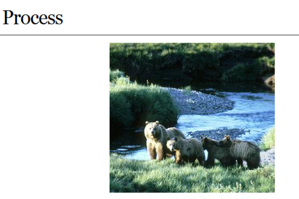 Webquest: All about bears | Recurso educativo 34437