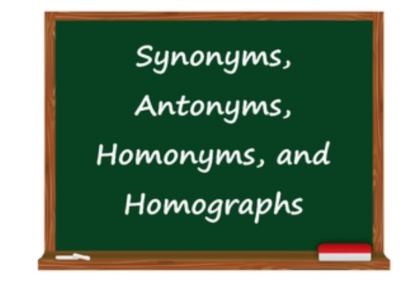 Webquest: Synonyms, antonyms and homonyms | Recurso educativo 35057