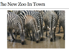 Webquest: The new zoo in town | Recurso educativo 35402