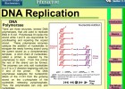 Video: DNA Replication | Recurso educativo 39916