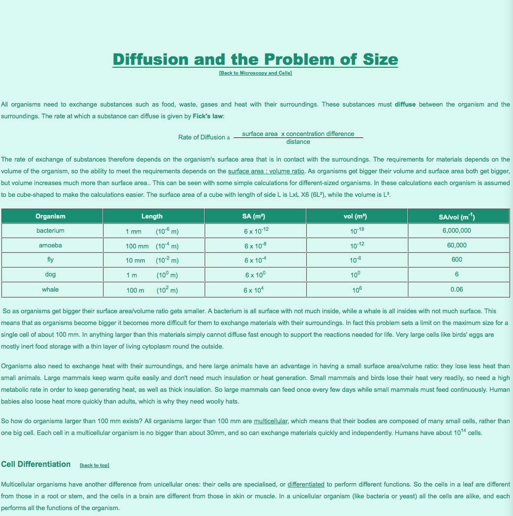 Diffusion and the Problem of Size | Recurso educativo 40000