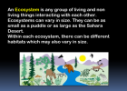 Habitats and ecosystems | Recurso educativo 40397
