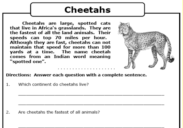 Cheetahs | Recurso educativo 42915