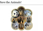 Webquest: Save the animals | Recurso educativo 43090