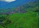 El cultivo de arroz de China | Recurso educativo 45327