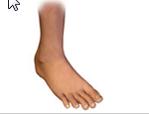 Enfermedades de los pies | Recurso educativo 45754