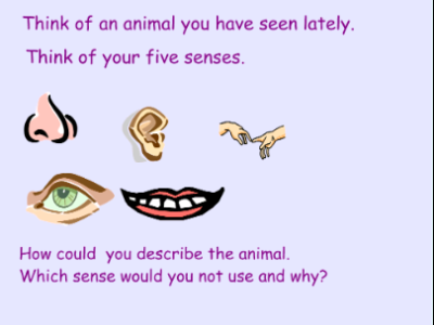 Describing our senses | Recurso educativo 46790
