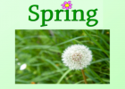 Spring: what happens? | Recurso educativo 46800