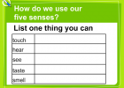 The five senses | Recurso educativo 47363