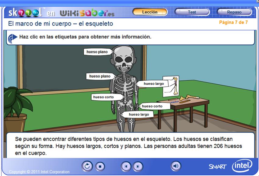 Descripción del esqueleto | Recurso educativo 47832