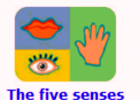 The five senses | Recurso educativo 48622