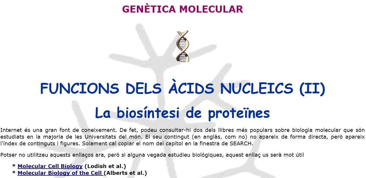 La síntesi de proteïnes | Recurso educativo 49484