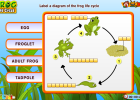 Frog life cycle | Recurso educativo 49562