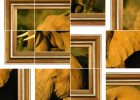 Puzzle interactivo: elefante | Recurso educativo 50667