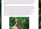 Ecology lab: Ecosystems | Recurso educativo 50740