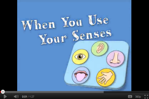 Song: When you use your senses | Recurso educativo 50750