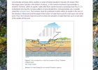 Ecology lab: Water resources | Recurso educativo 50758