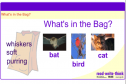 What's in the bag? | Recurso educativo 52548