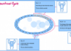 The menstrual cycle | Recurso educativo 53504