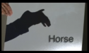 Horse idioms | Recurso educativo 54880