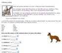 Animal idioms | Recurso educativo 56769