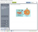 Célula procariota y eucariota | Recurso educativo 58259