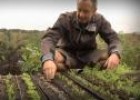 Vídeo: mètodes de preparació de la terra | Recurso educativo 10678