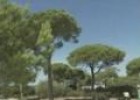 Vídeo; Biodiversidad "Bahía de Cádiz" | Recurso educativo 11846