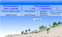 Ecosistema de Canarias | Recurso educativo 15683