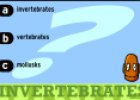 Invertebrates and vertebrates | Recurso educativo 21640