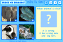Guess the animal | Recurso educativo 21785