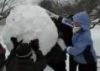 Vídeo: niños haciendo un muñeco de nieve | Recurso educativo 26141