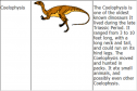 Dinosaurs | Recurso educativo 26566