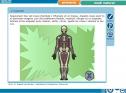 Joc educatiu: els ossos de l'esquelet humà | Recurso educativo 31632
