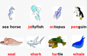 Website: Illustrated vocabulary | Recurso educativo 62005