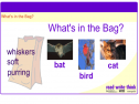 What's in the bag? | Recurso educativo 7768