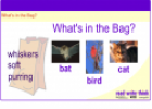 What's in the bag? | Recurso educativo 7768