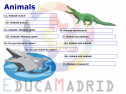 Animals (activities and games) | Recurso educativo 8615