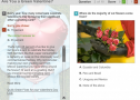 Are you a green Valentine? | Recurso educativo 68099