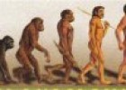 El proceso evolutivo humano | Recurso educativo 72256
