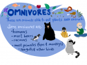 Omnivores | Recurso educativo 73399