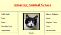 Amazing animal senses | Recurso educativo 75529