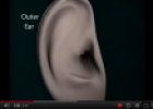 Video: Ears | Recurso educativo 77393