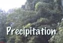 Precipitation | Recurso educativo 84884