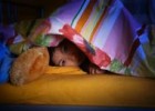 Sueño infantil: De pronto, tiene miedo por la noche. ¿Por qué? - | Recurso educativo 97365