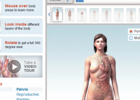 7 recursos online para aprender Anatomía y Fisiología | Recurso educativo 104579
