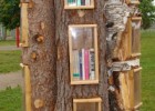 Biblioteca Marta Mata de l'escola Orlandai: Bookcrossing als troncs d'arbre | Recurso educativo 120702