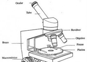 microscopio.jpg | Recurso educativo 403544