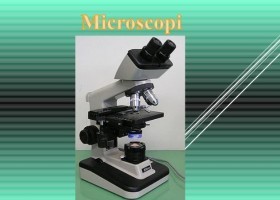 Microscopi i lupa binocular | Recurso educativo 496170