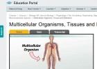 Multicellular organisms | Recurso educativo 676515